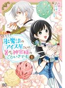 氷魔法のアイス屋さんは、暑がり神官様のごひいきです。 1(B'sLOG COMICS)