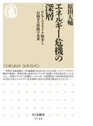 エネルギー危機の深層　――ロシア・ウクライナ戦争と石油ガス資源の未来(ちくま新書)