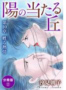 陽の当たる丘 第10章　甦る熱情　分冊版2(素敵なロマンス)