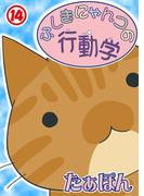 ふしぎにゃんコの行動学14(ペット宣言)
