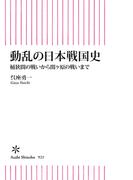 動乱の日本戦国史　桶狭間の戦いから関ヶ原の戦いまで(朝日新書)