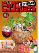 ビッグコミックオリジナル　2023年19号（2023年9月20日発売)