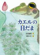 カエルの目だま