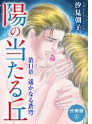 陽の当たる丘 第11章　遥かなる蒼穹　分冊版2(素敵なロマンス)