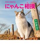 にゃんこ相撲 〈下町編〉(写真絵本シリーズ)