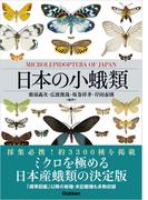 日本の小蛾類