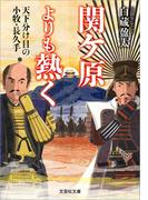 関ケ原よりも熱く 天下分け目の小牧・長久手(文芸社文庫)
