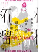 畏れ入谷の彼女の柘榴(講談社文庫)