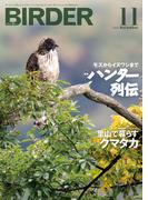 BIRDER2023年11月号