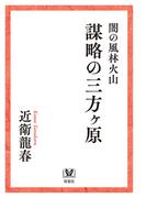 闇の風林火山　謀略の三方ヶ原(双葉文庫)