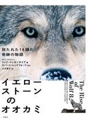 イエローストーンのオオカミ