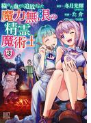 穢れた血だと追放された魔力無限の精霊魔術士 (3) 【電子限定おまけ付き】(バーズコミックス)