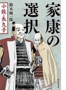 家康の選択　小牧・長久手