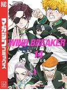 ＷＩＮＤ　ＢＲＥＡＫＥＲ（14）