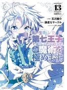 転生したら第七王子だったので、気ままに魔術を極めます（13）