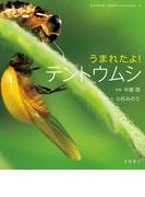 うまれたよ！　テントウムシ