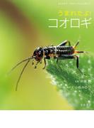 うまれたよ！　コオロギ