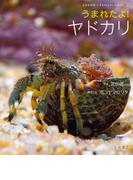 うまれたよ！　ヤドカリ