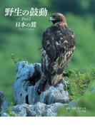 野生の鼓動 Part1 日本の鷲