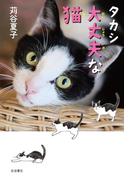 タカシ　大丈夫な猫