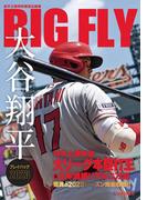 BIG FLY　大谷翔平プレイバック2023　岩手日報特別報道記録集