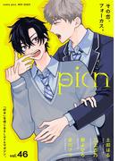 comic picn vol.46(picn comics)