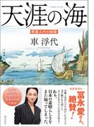 天涯の海