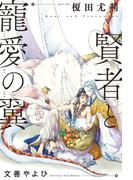 賢者と寵愛の翼【イラスト入り】