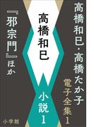 【全1-24セット】高橋和巳・高橋たか子 電子全集(高橋和巳・高橋たか子 電子全集)