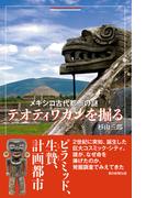 メキシコ古代都市の謎　テオティワカンを掘る(朝日選書)