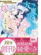大魔術師様に嫁ぎまして～形式上の妻ですが、なぜか溺愛されています～(novel スピラ)
