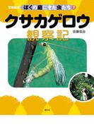 写真絵本　ぼくの庭にきた虫たち7　クサカゲロウ観察記