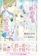 王太子に婚約破棄されたので、もうバカのふりはやめようと思います３(PASH!ブックス)