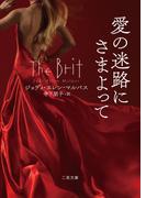 愛の迷路にさまよって(二見文庫)