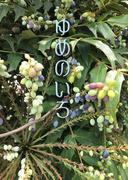 ゆめのいろ(書肆月夜堂)