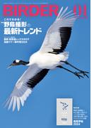 BIRDER2024年1月号