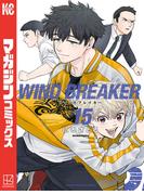 ＷＩＮＤ　ＢＲＥＡＫＥＲ（15）
