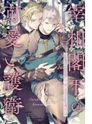 【全1-6セット】宰相閣下の可愛い護衛【イラスト付】(ブルームーンノベルズ)