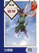 黒猫ニャンゴの冒険【分冊版】　11(ドラゴンコミックスエイジ)