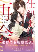 仕組まれた再会 ～元カレの執着求愛に捕獲されました～(ルネッタブックス)