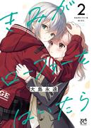 きみがローファーをはいたら【電子特別版】　2(プリンセス・コミックス)