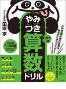 小学校6年間の算数をあそびながらマスター！やみつき算数ドリル むずかしめ