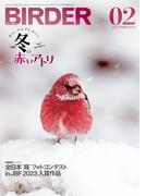 BIRDER2024年2月号