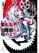 転生したら第七王子だったので、気ままに魔術を極めます（14）