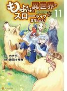 もふもふと異世界でスローライフを目指します！１１(アルファポリスCOMICS)