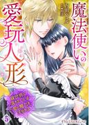 魔法使いの愛玩人形　異世界に落ちたOLは愛と魔力を注がれる05(Precious Love)