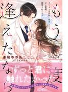 もう一度逢えたなら　～イケメン外科医に再会したらゼロ距離で溺愛されてます～(ルネッタブックス)