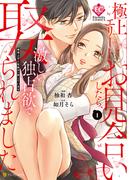 極上エリートとお見合いしたら、激しい独占欲で娶られました　俺様上司と性癖が一致しています１(エタニティCOMICS)