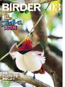 BIRDER2024年3月号