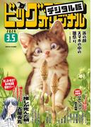 ビッグコミックオリジナル　2024年5号（2024年2月20日発売)